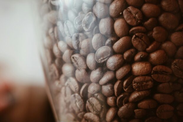 coffee in a grinder